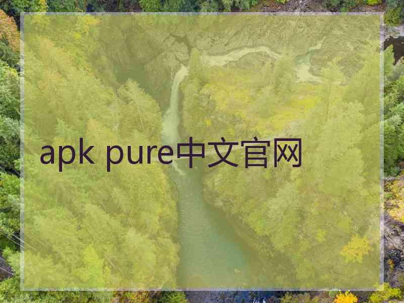 apk pure中文官网 apk pure中文官网