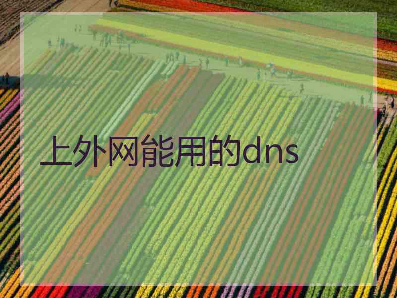 上外网能用的dns 上外网能用的dns