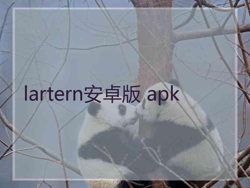 lartern安卓版 apk lartern安卓版 apk
