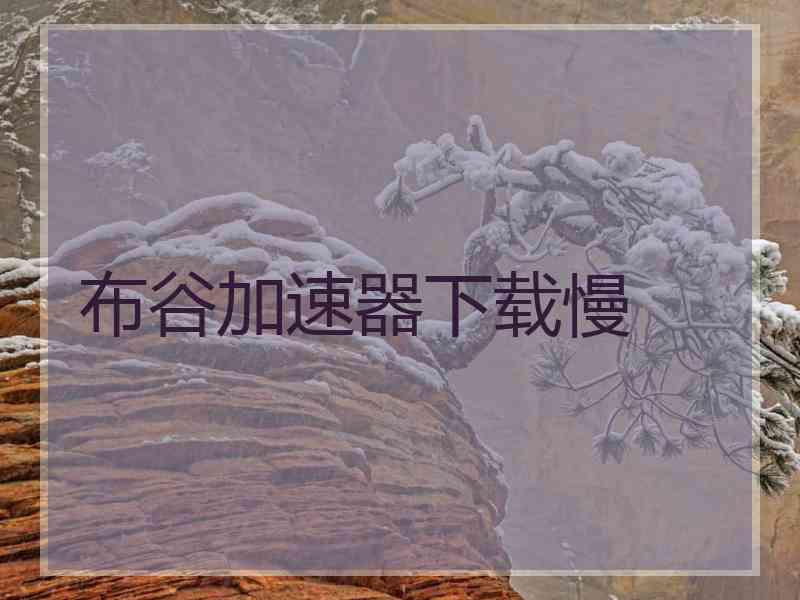 布谷加速器下载慢 布谷加速器下载慢