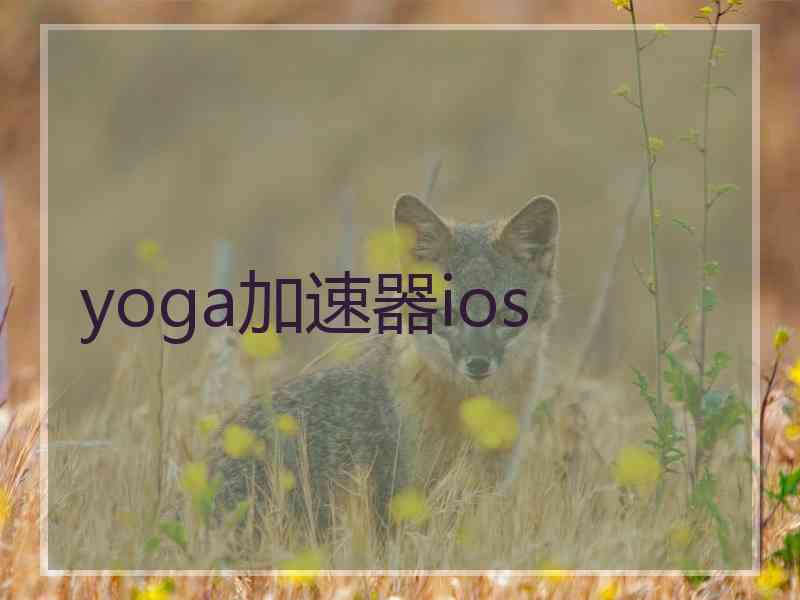 yoga加速器ios yoga加速器ios