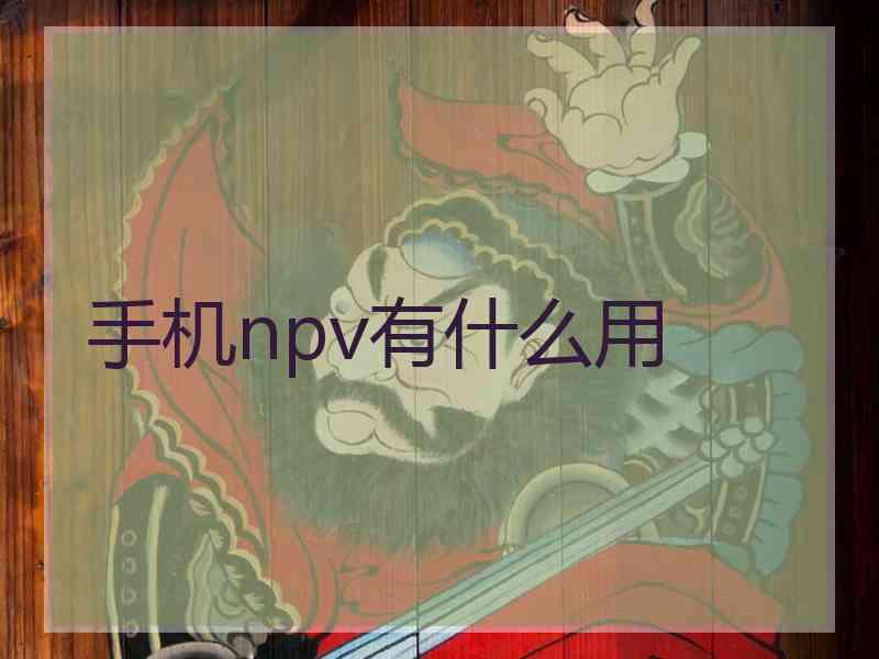 手机npv有什么用 手机npv有什么用