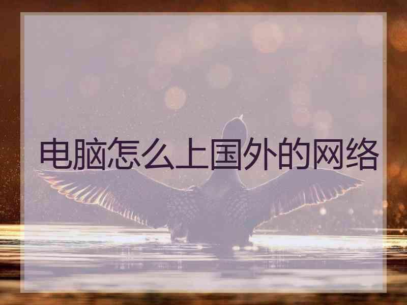 电脑怎么上国外的网络 电脑怎么上国外的网络