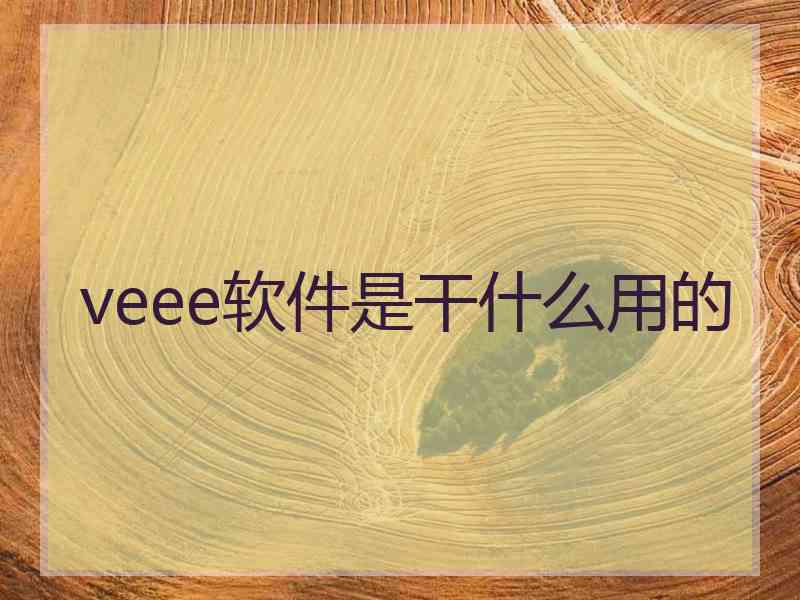 veee软件是干什么用的 veee软件是干什么用的