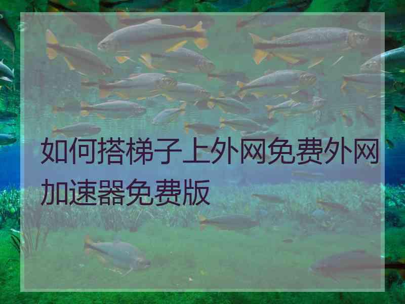 如何搭梯子上外网免费外网加速器免费版 如何搭梯子上外网免费外网加速器免费版