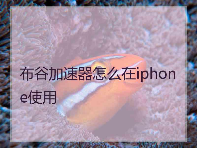 布谷加速器怎么在iphone使用 布谷加速器怎么在iphone使用