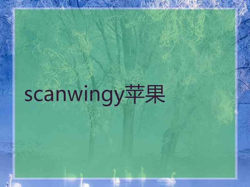 scanwingy苹果 scanwingy苹果