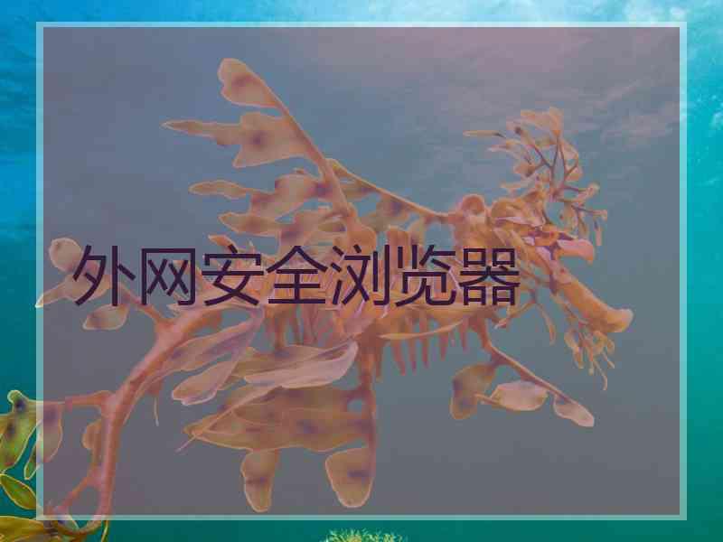 外网安全浏览器 外网安全浏览器