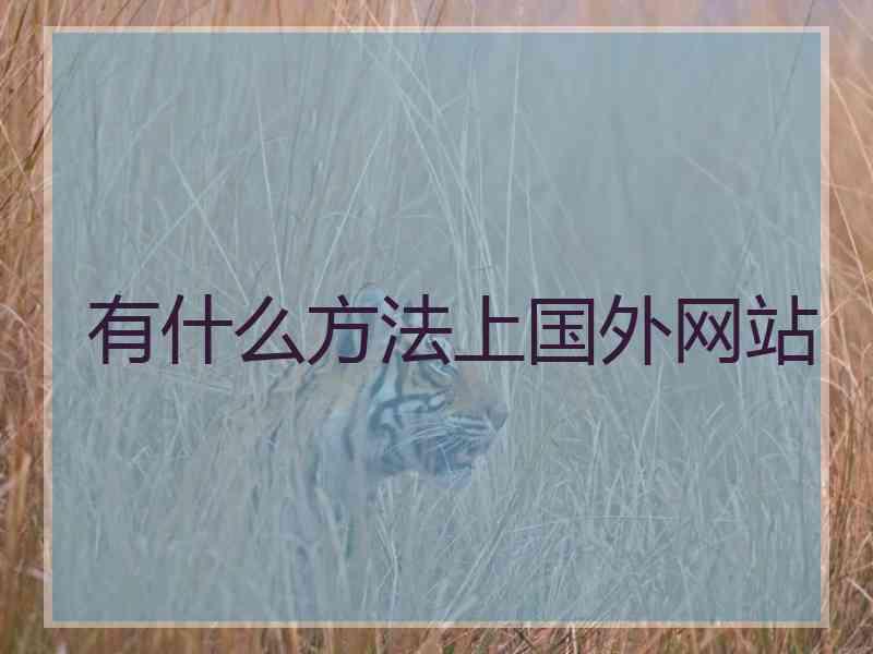 有什么方法上国外网站 有什么方法上国外网站