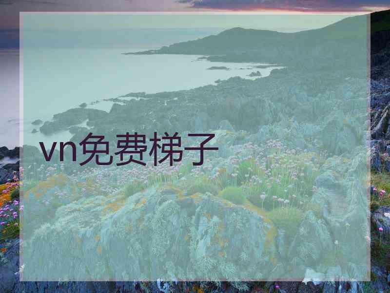 vn免费梯子 vn免费梯子