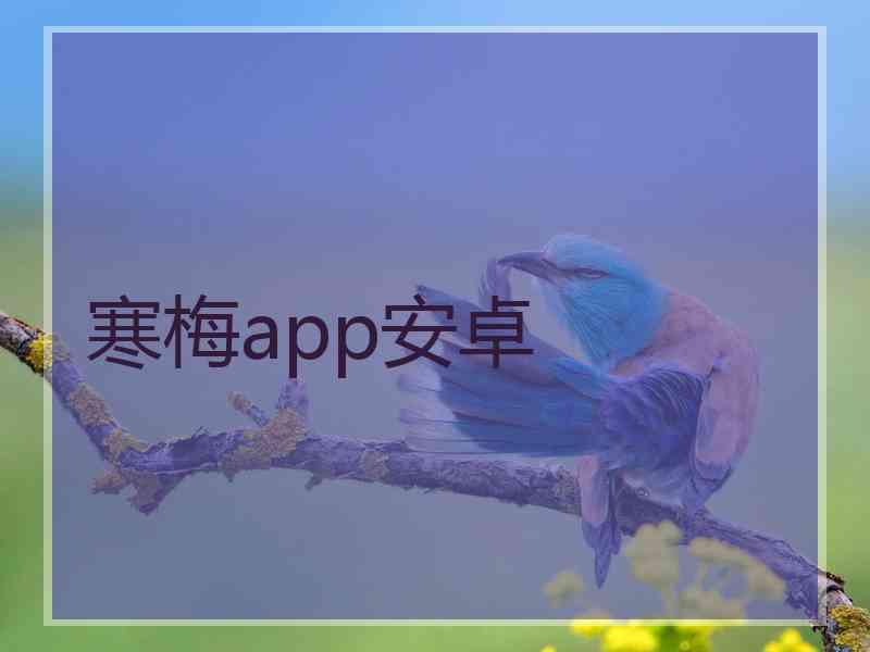 寒梅app安卓 寒梅app安卓