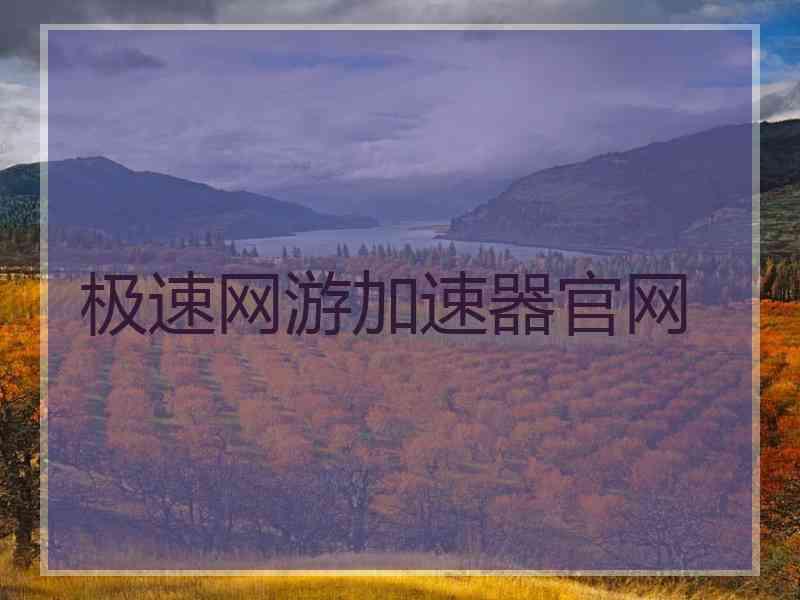 极速网游加速器官网 极速网游加速器官网