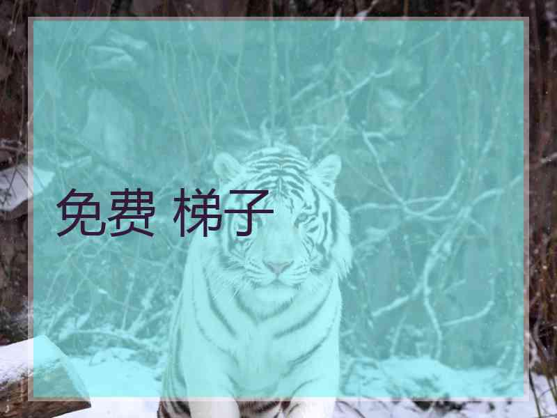 免费 梯子 免费 梯子