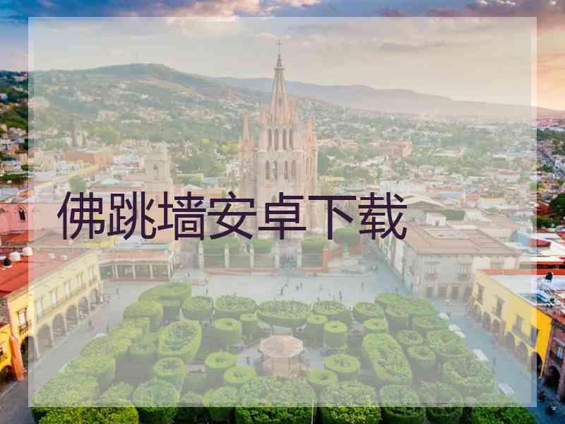 佛跳墙安卓下载 佛跳墙安卓下载