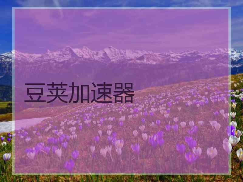 豆荚加速器 豆荚加速器