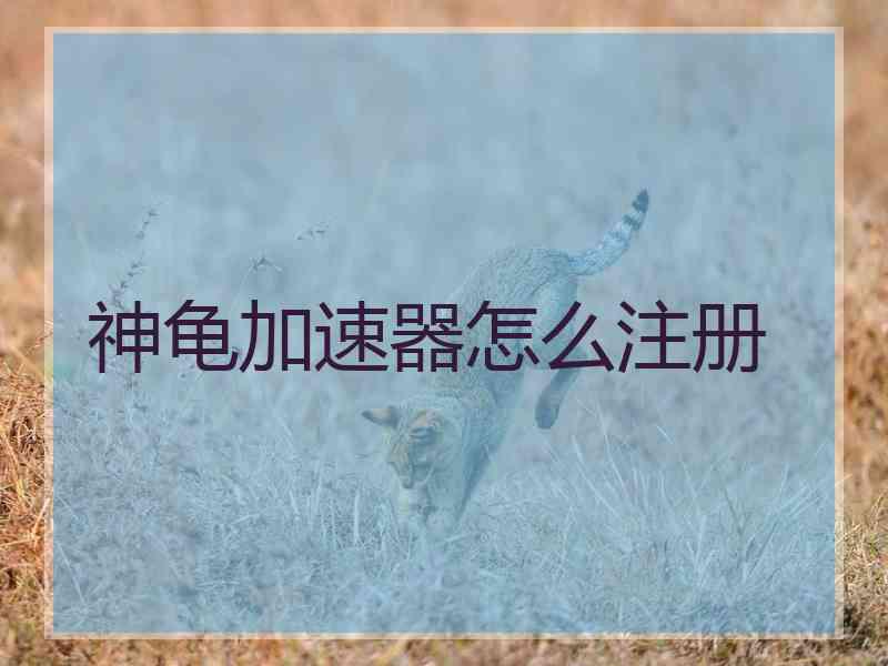 神龟加速器怎么注册 神龟加速器怎么注册