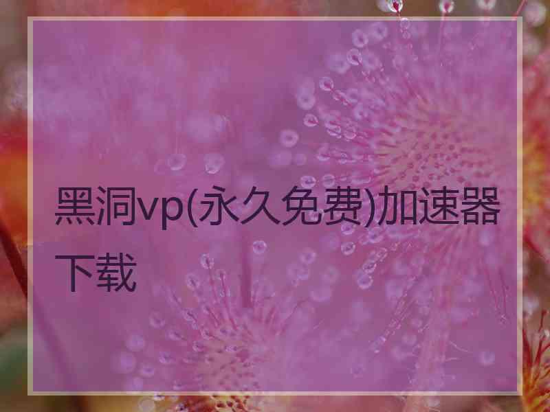 黑洞vp(永久免费)加速器下载 黑洞vp(永久免费)加速器下载