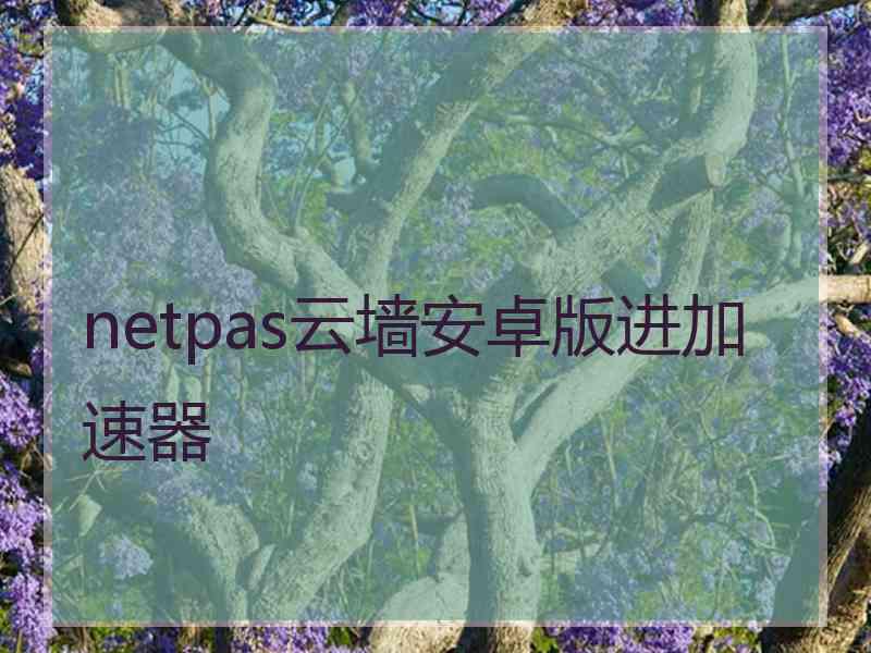 netpas云墙安卓版进加速器 netpas云墙安卓版进加速器