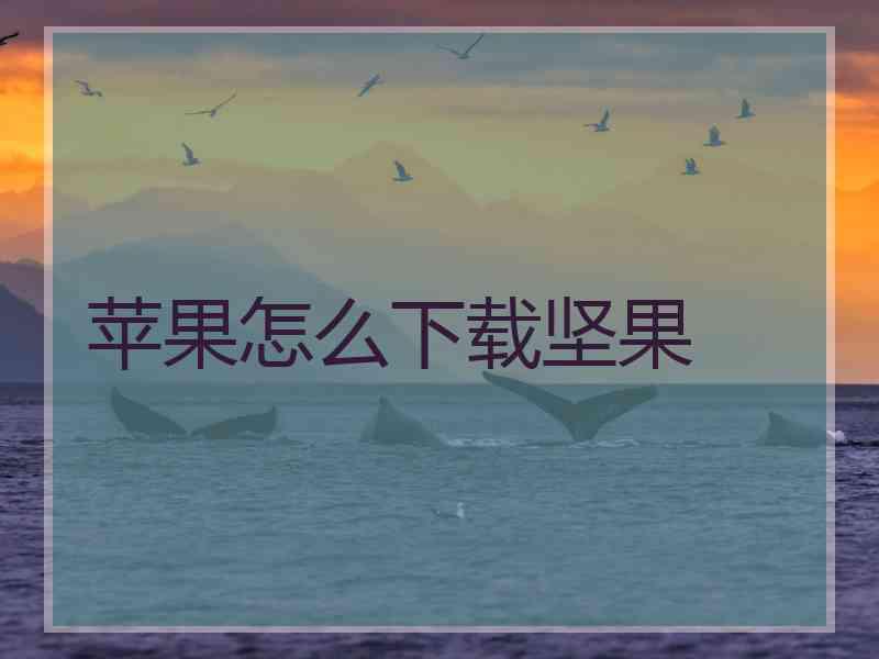 苹果怎么下载坚果 苹果怎么下载坚果