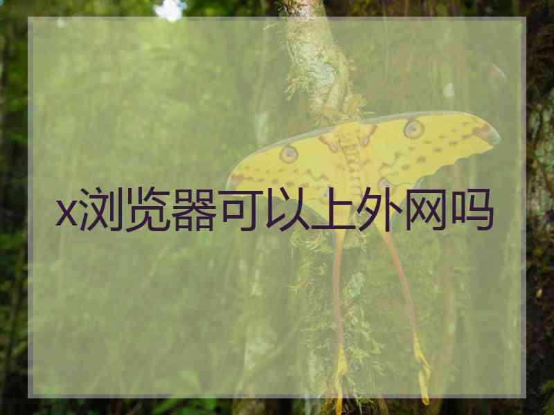 x浏览器可以上外网吗 x浏览器可以上外网吗