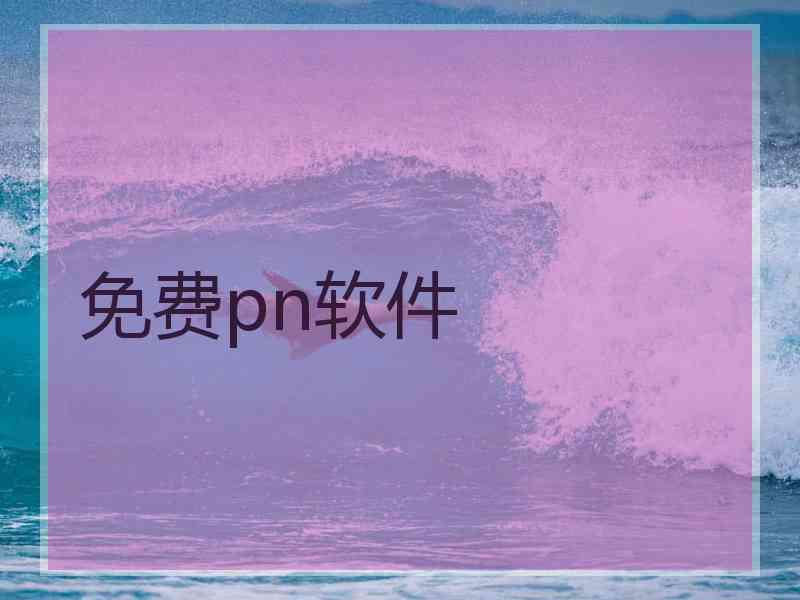免费pn软件 免费pn软件