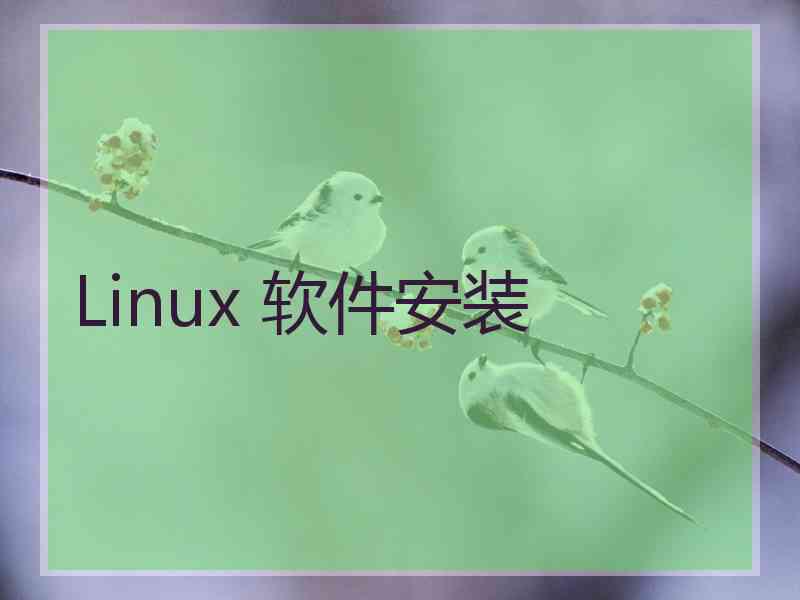 Linux 软件安装 Linux 软件安装