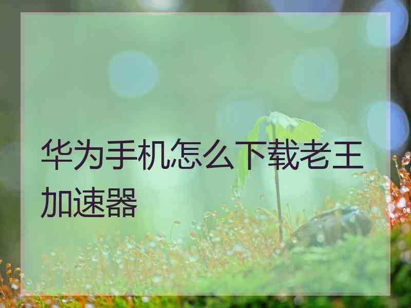 华为手机怎么下载老王加速器 华为手机怎么下载老王加速器
