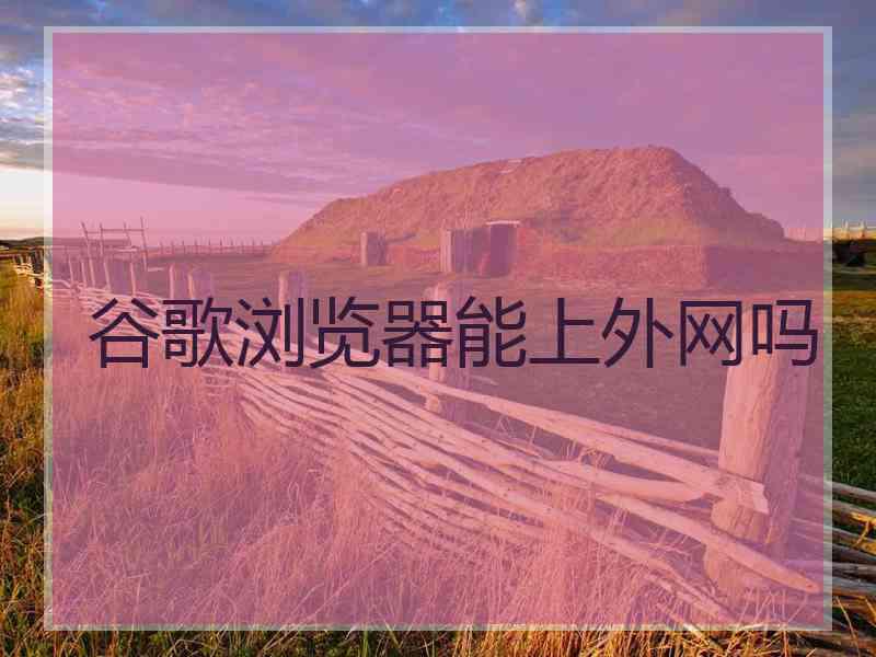 谷歌浏览器能上外网吗 谷歌浏览器能上外网吗