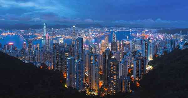 老王加速器2216下载