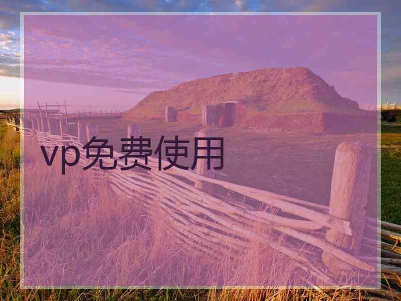 vp免费使用