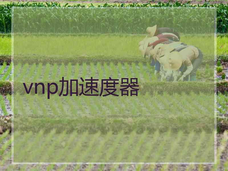 vnp加速度器