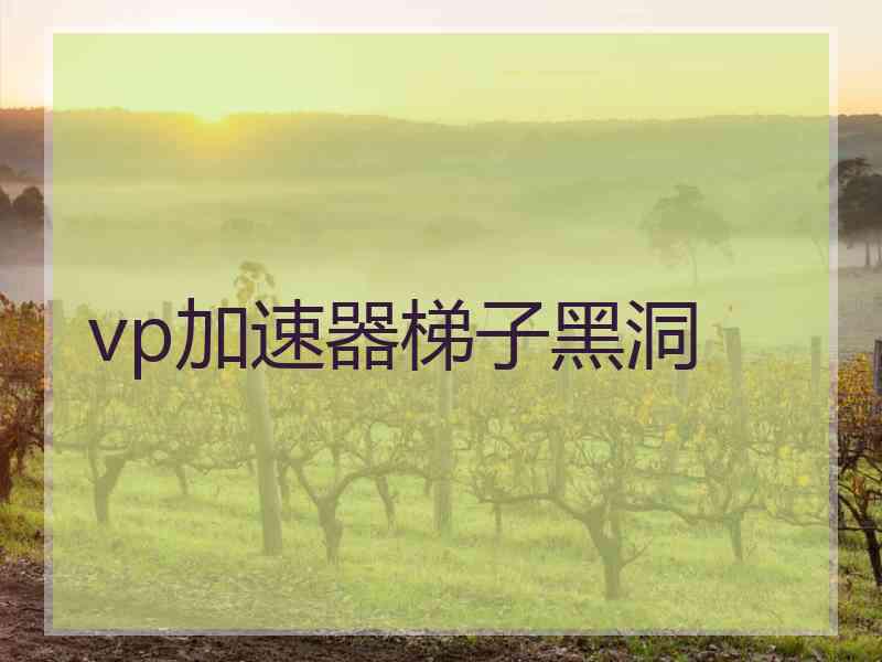 vp加速器梯子黑洞