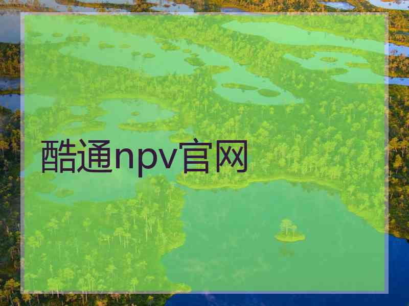 酷通npv官网