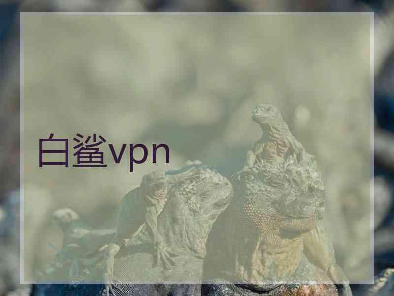 白鲨vpn