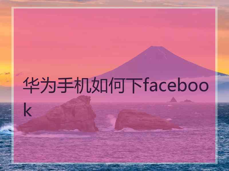 华为手机如何下facebook