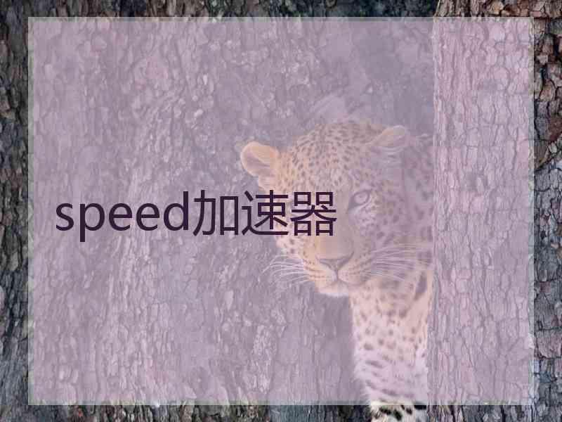 speed加速器