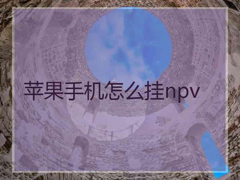 苹果手机怎么挂npv