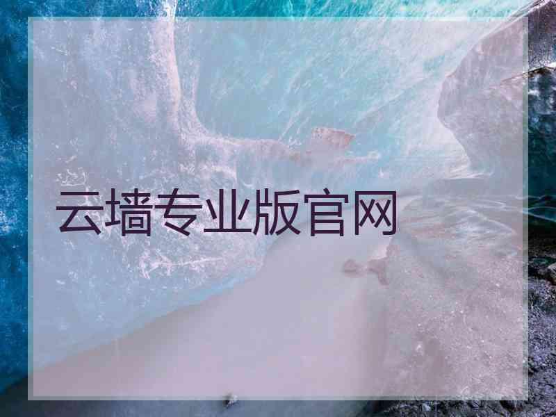 云墙专业版官网