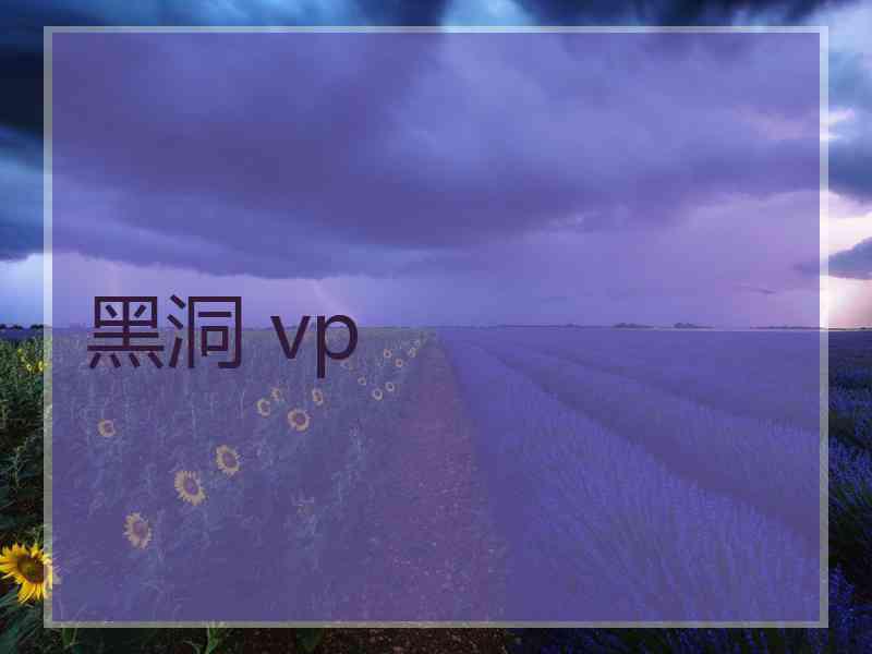 黑洞 vp