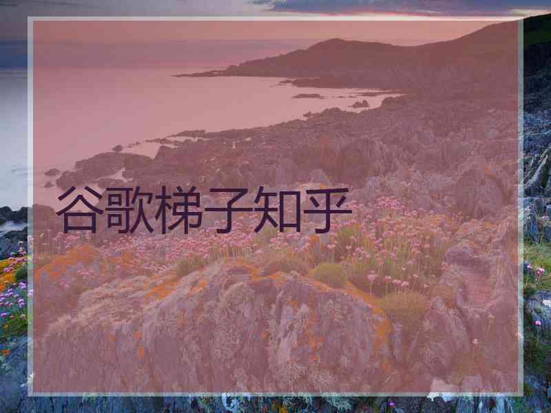 谷歌梯子知乎