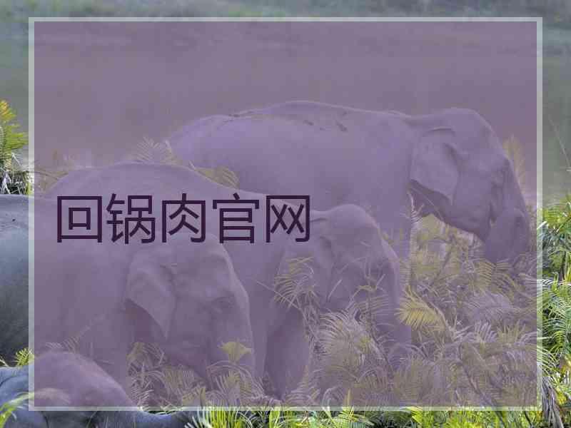 回锅肉官网