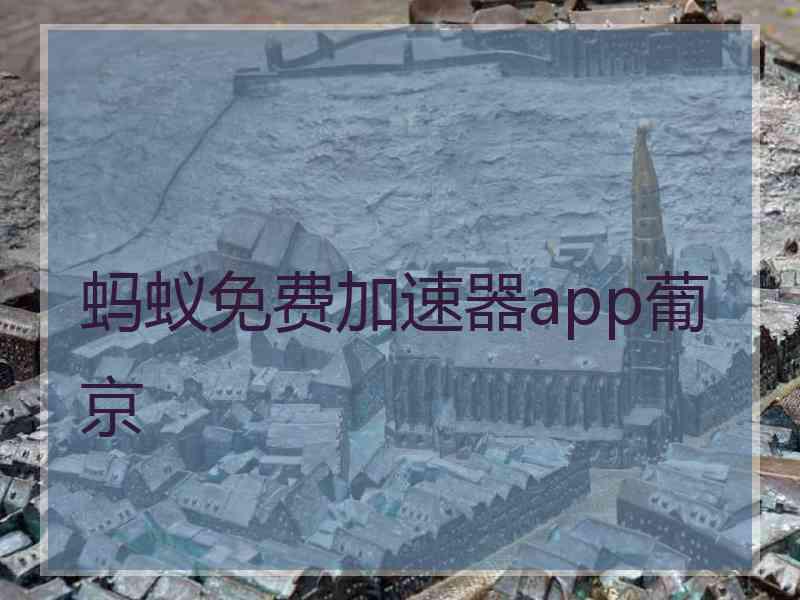 蚂蚁免费加速器app葡京