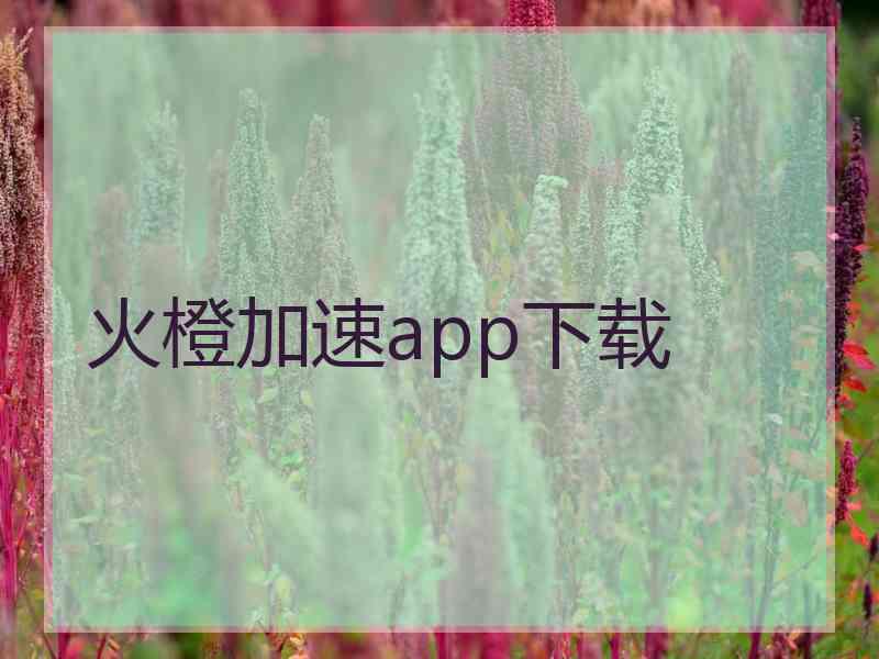 火橙加速app下载