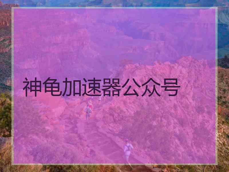 神龟加速器公众号