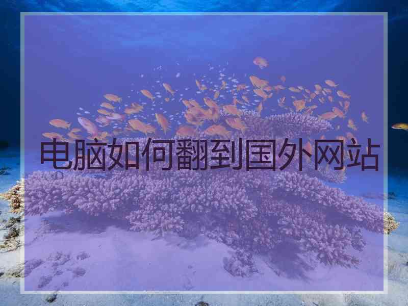 电脑如何翻到国外网站