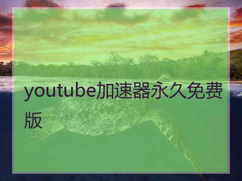 youtube加速器永久免费版