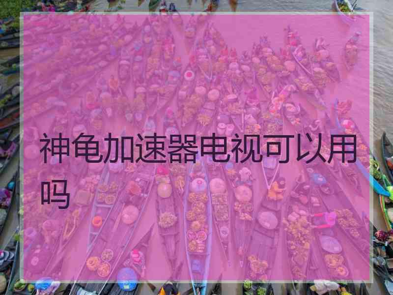 神龟加速器电视可以用吗