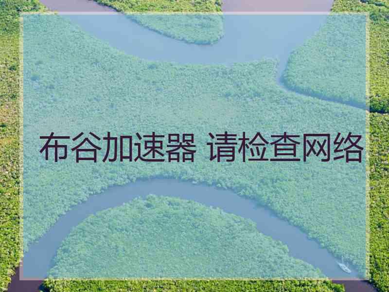 布谷加速器 请检查网络