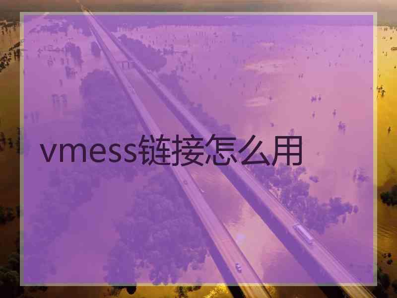 vmess链接怎么用