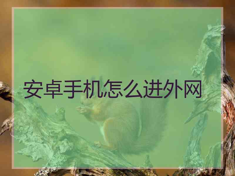 安卓手机怎么进外网